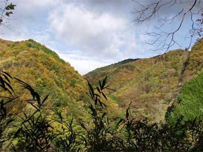 北摂の雑木林（ほくせつのぞうきばやし）