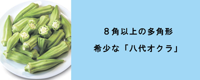 2026年9月号「8角以上の多角形。希少な八代オクラ」