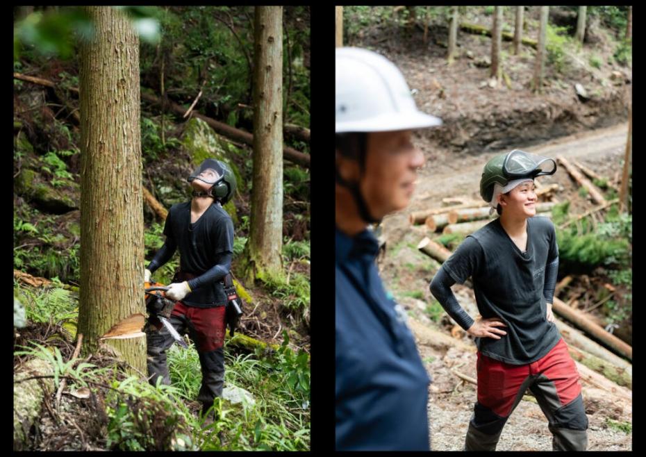 伐採中の木を見上げる様子(左)、作業中に談笑する様子(右)