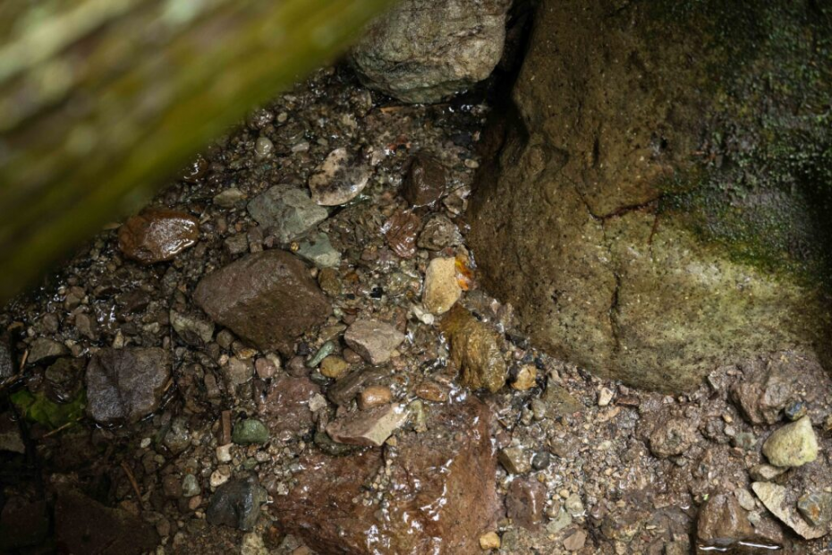 山の斜面から湧き出る水