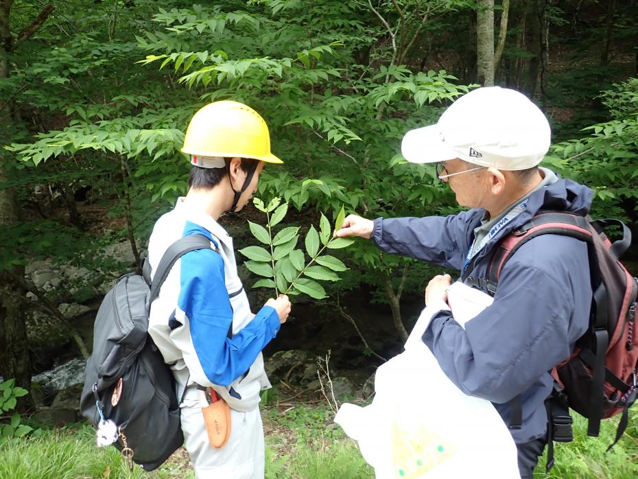 樹木学の実習中の写真