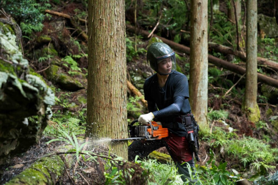 木をチェーンソーで切る様子