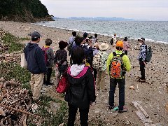 成ヶ島の自然海岸