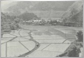 上生野1