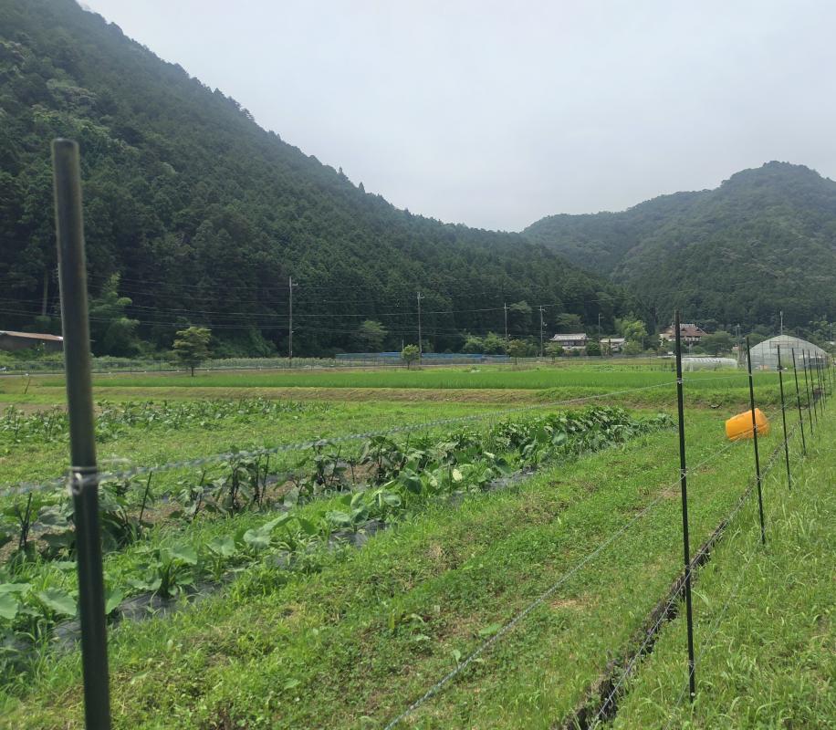 笠形地域の豊かな自然と田んぼ