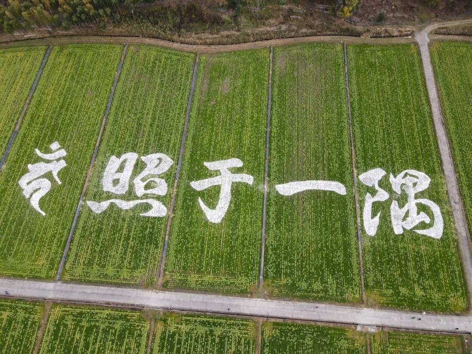 ドローンで撮影した巨大文字