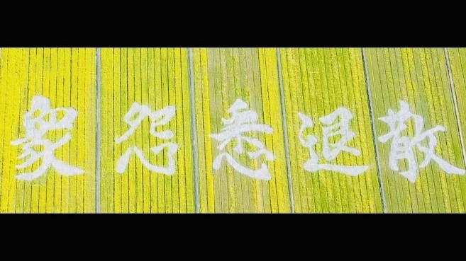 菜の花畑文字（上から）