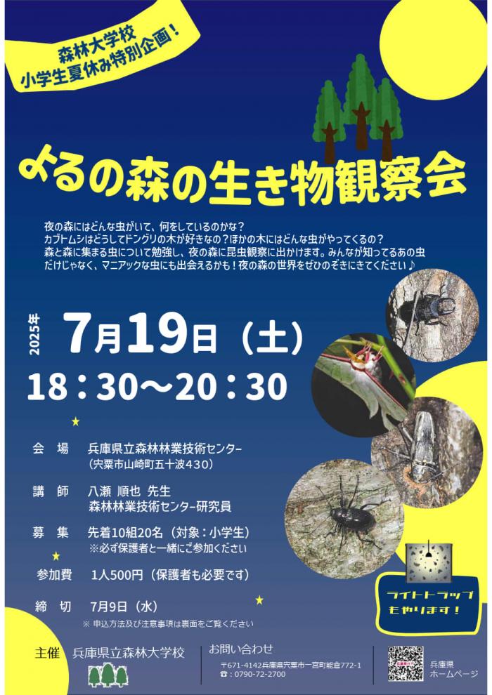 よるの森の観察会