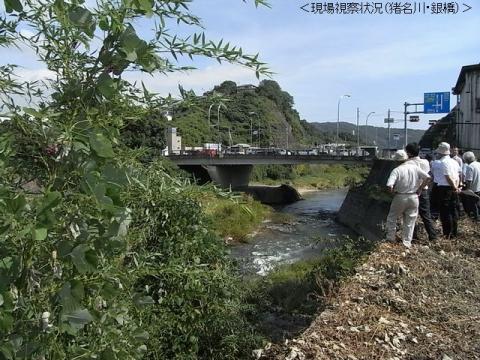 現場視察状況（猪名川＿銀橋）