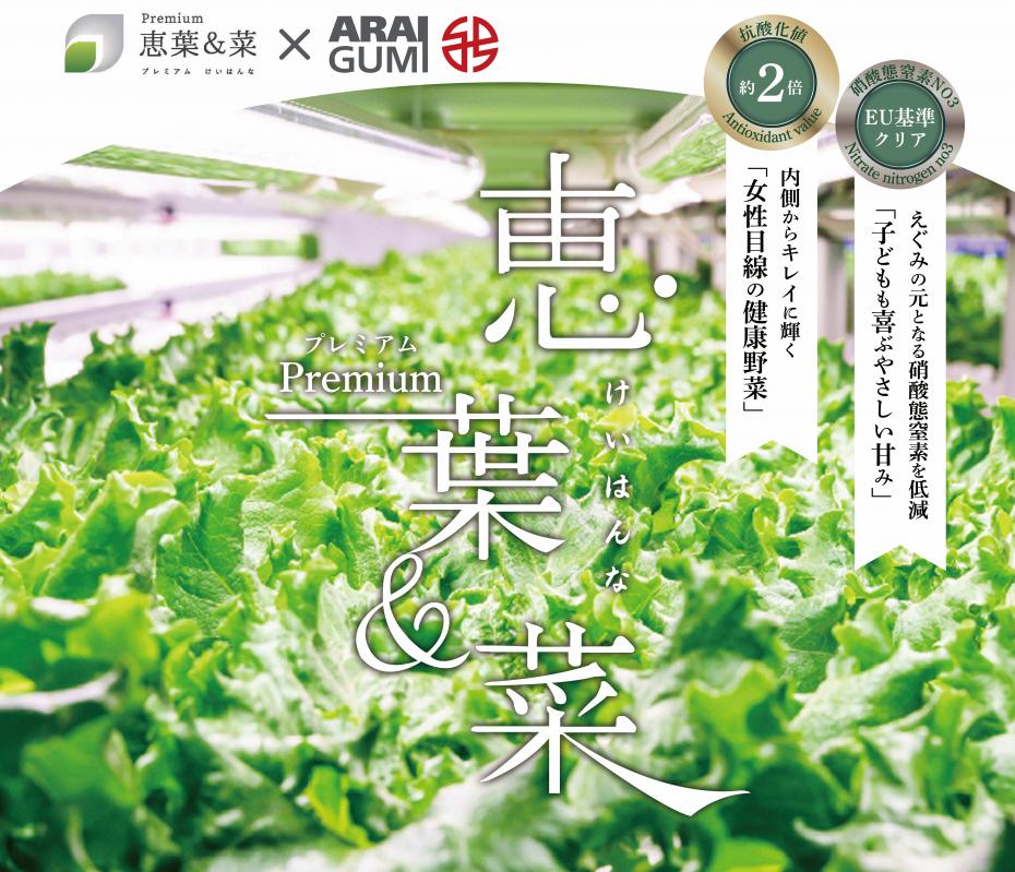 新井組