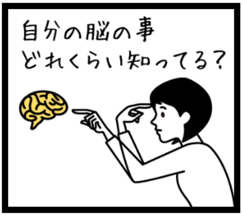脳科学プチ講座