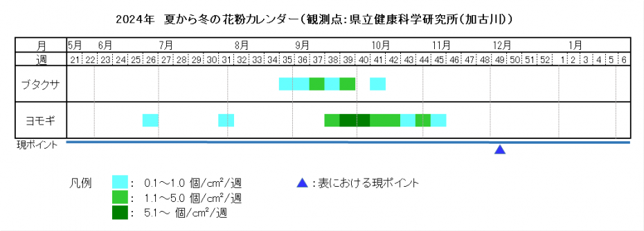 2024夏カレンダー