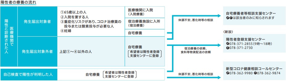 陽性者の療養の流れ