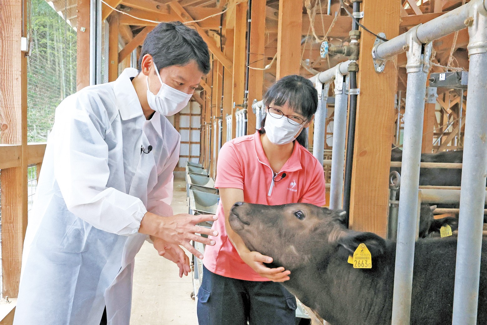 ひょうごフィールドパピリオン候補地の視察　但馬牛の繁殖農家