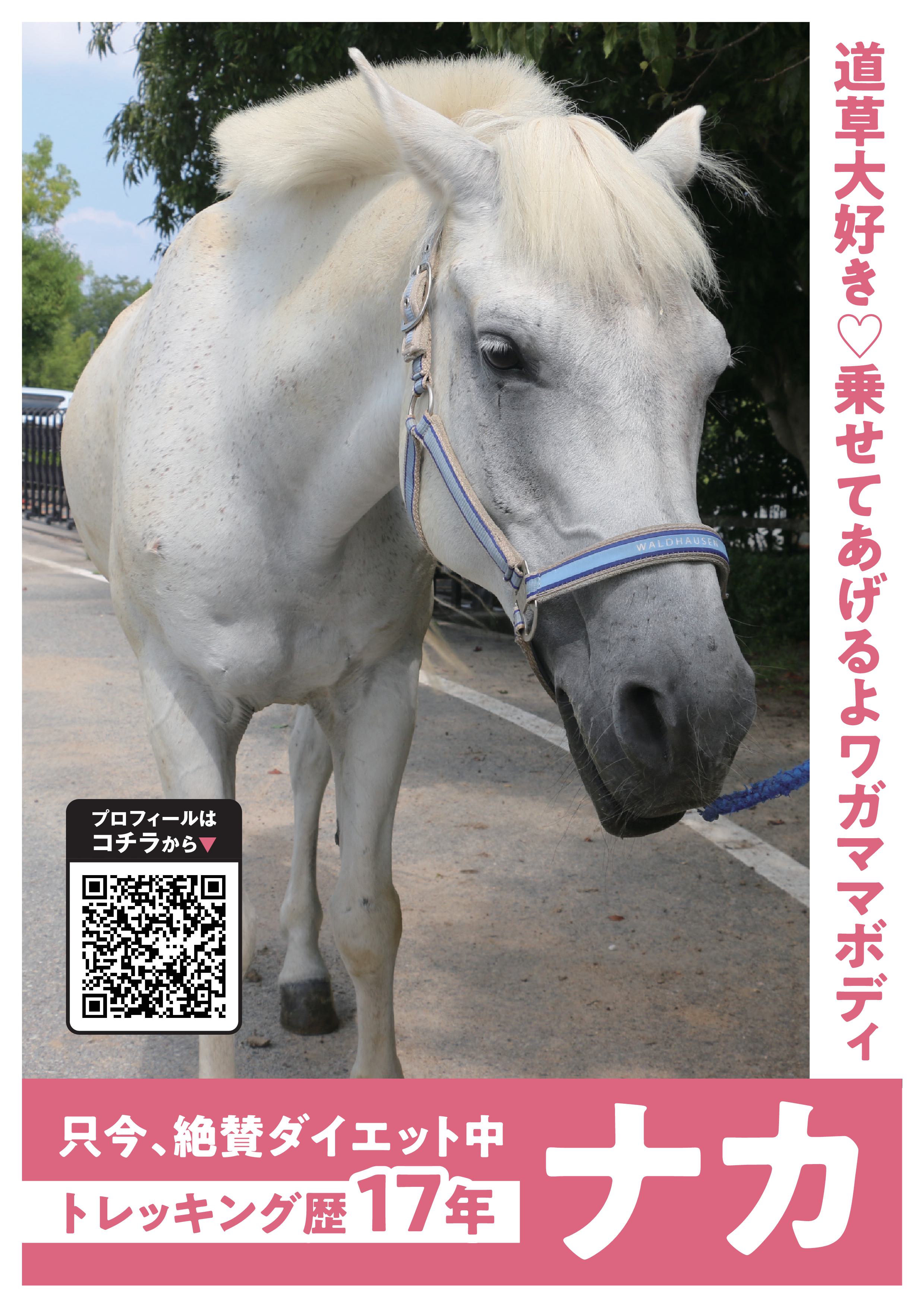 ナカ写真