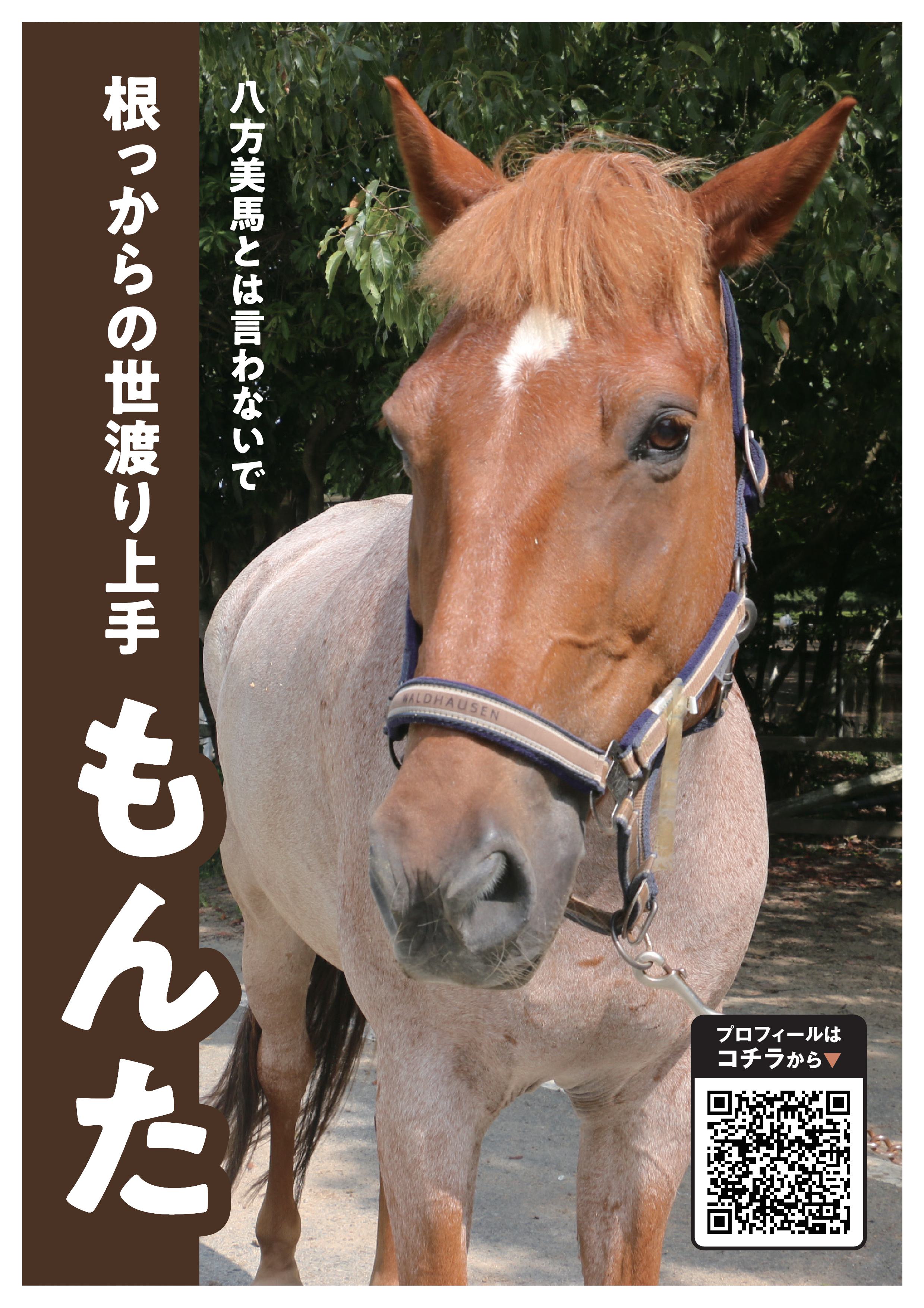 もんた写真