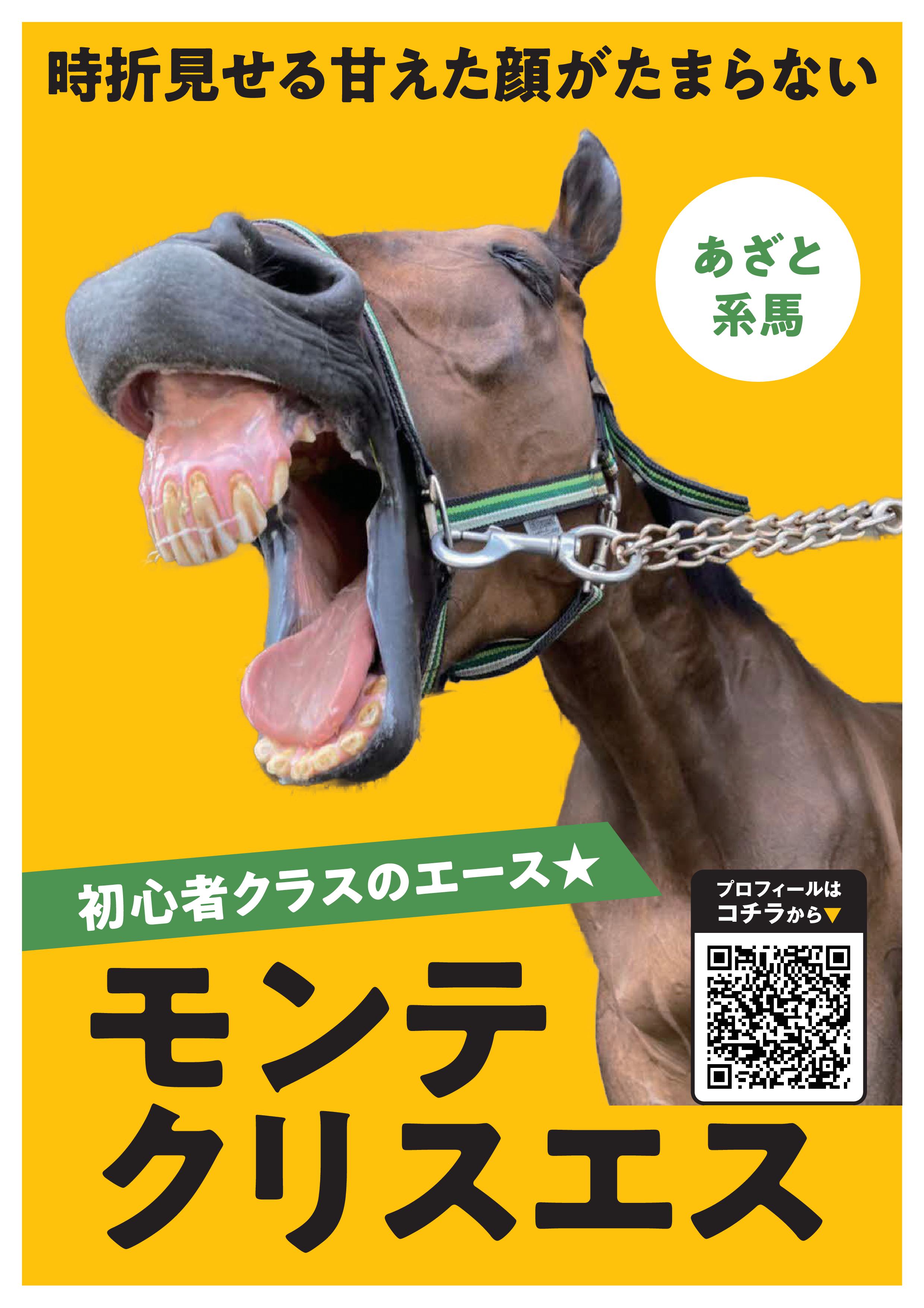 モンテクリスエス写真