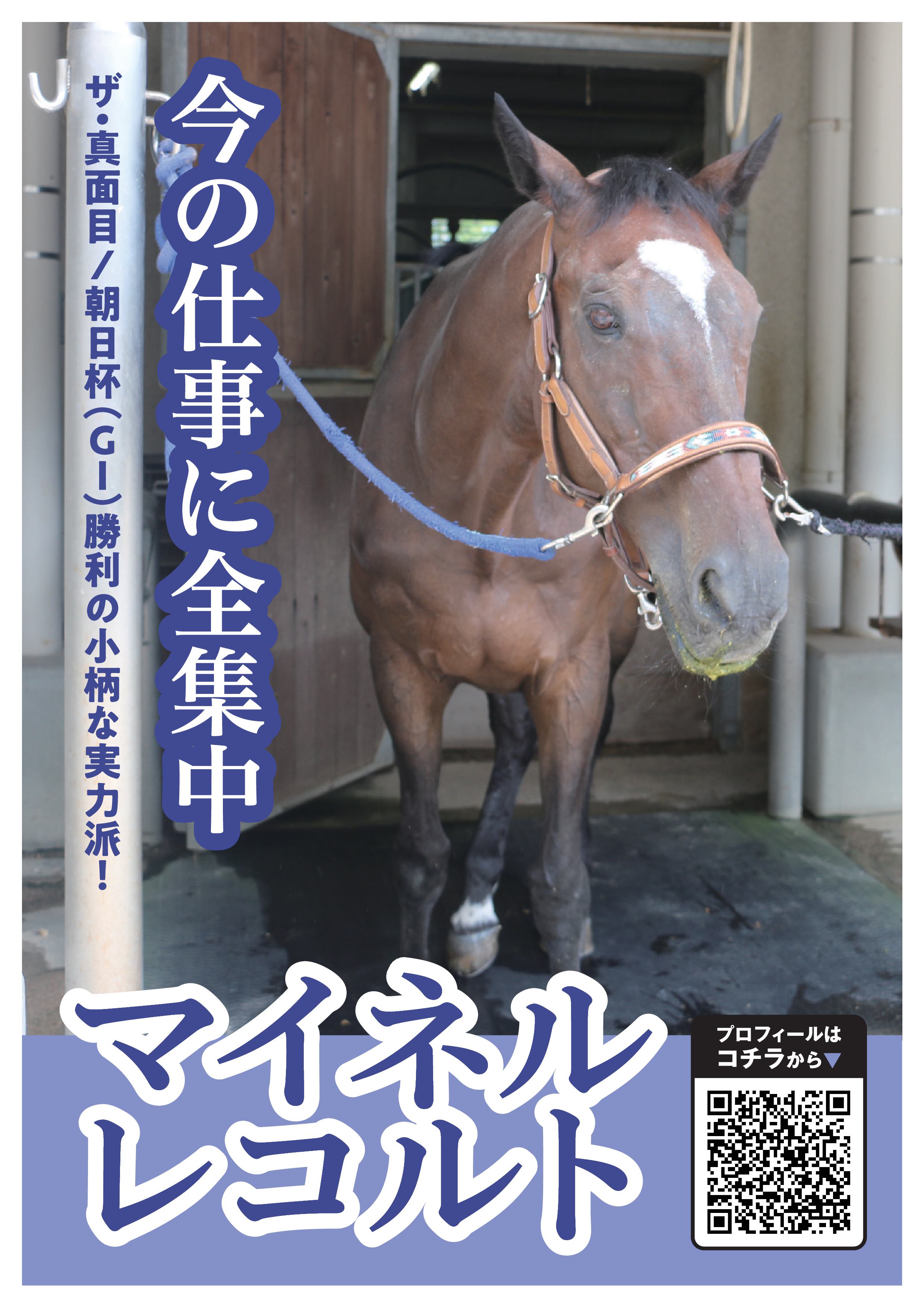 マイネルレコルト写真