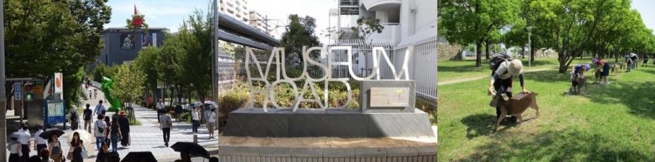 ミュージアムロードとは