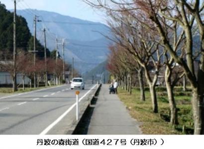 丹波の森街道（国道427号（丹波市））