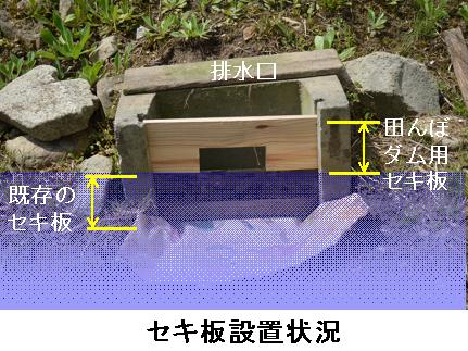 セキ板設置状況