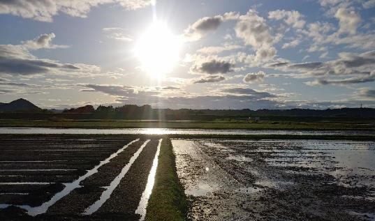 R4写真コンテスト(中高生)優秀3