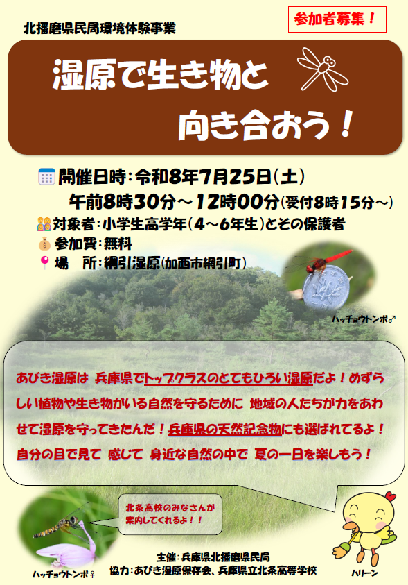 chirashiomotemen