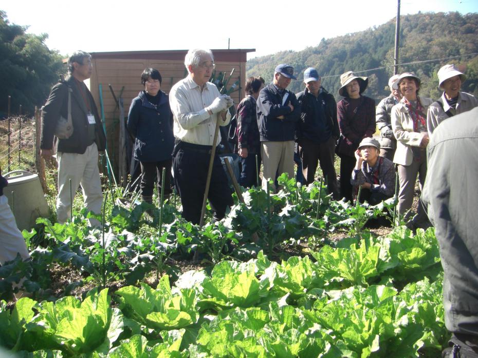 保田先生の圃場