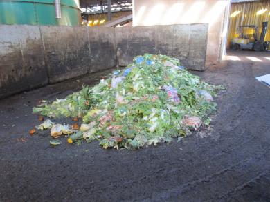 回収された食品廃棄物（大栄環境（株））