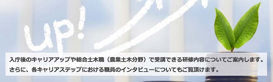 入庁後のキャリアアップや総合土木職で受講できる研修内容のご案内。職員インタビューもご覧頂けます。