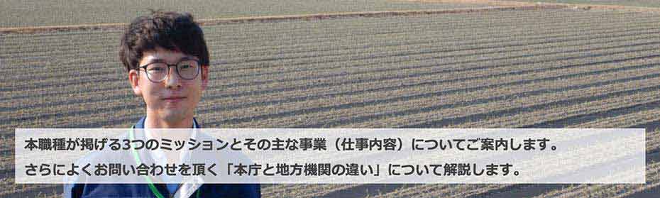 本職種が掲げる3つのミッションとその主な事業（仕事内容）についてのご案内。「本庁と地方機関の違い」について解説します。