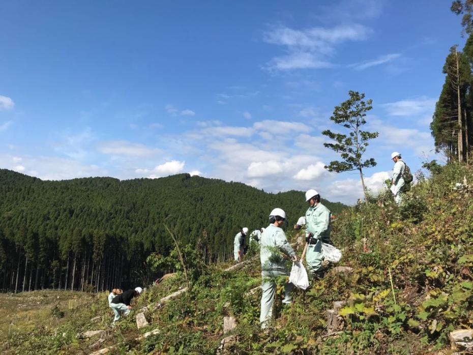 未来のための植樹