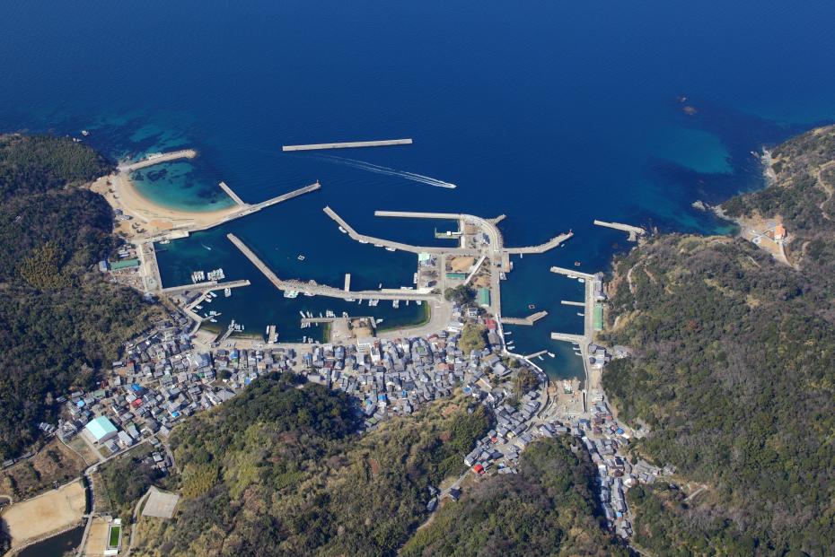 沼島漁港航空写真