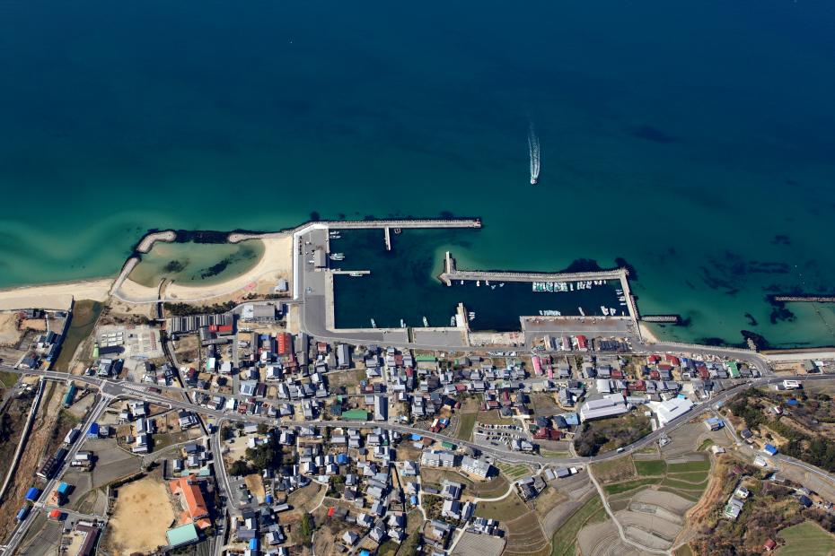 尾崎漁港航空写真