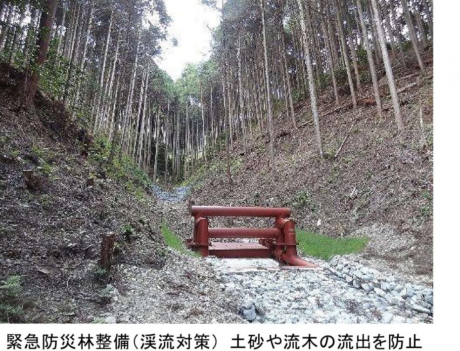 緊急防災林整備（渓流対策）土砂や流木の流出を防止