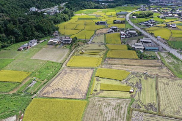 屋形（整備前）