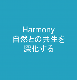 Harmony