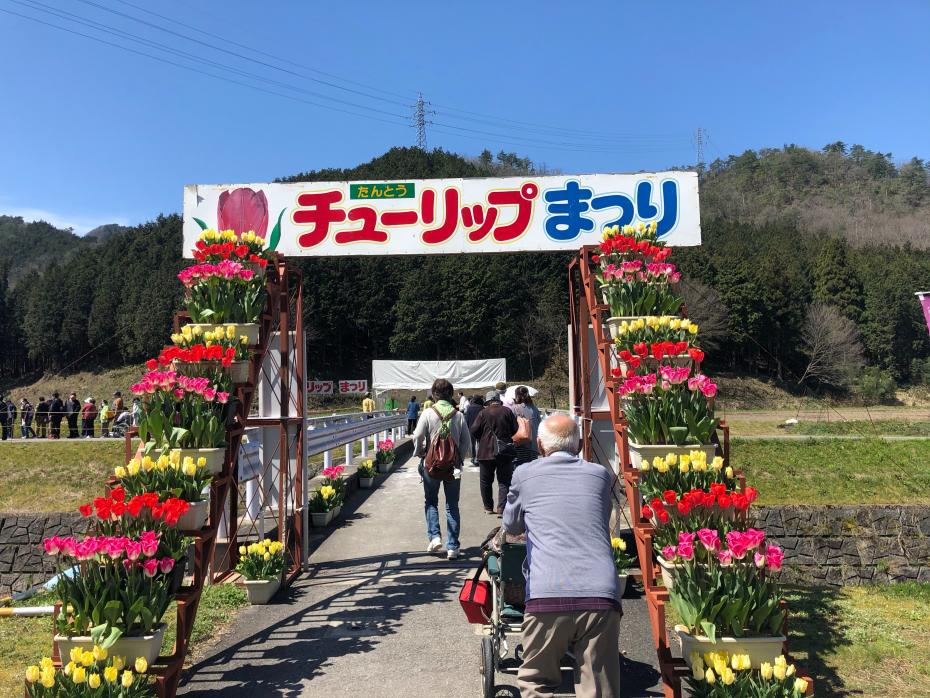 たんとうチューリップ祭