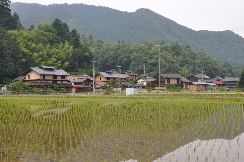 大杉地区集落景観