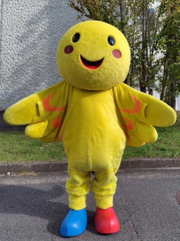 はばタン正面