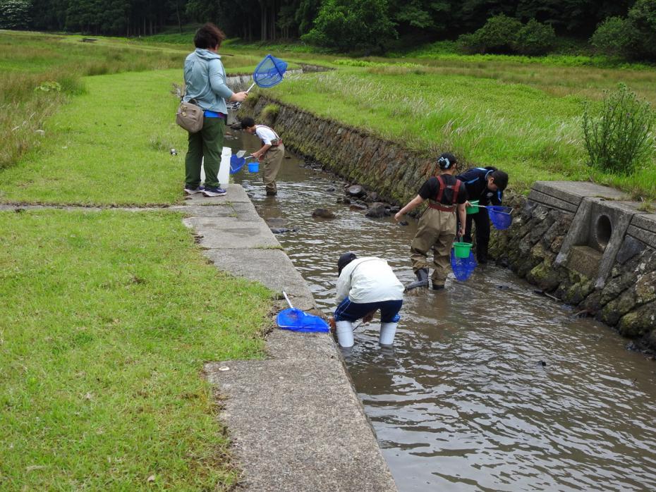 生物調査