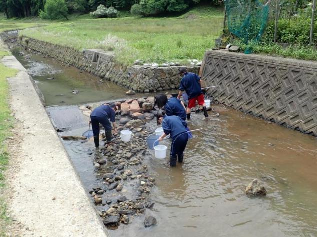 田結湿地写真