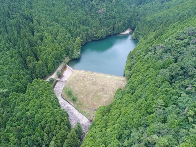 mikataike1