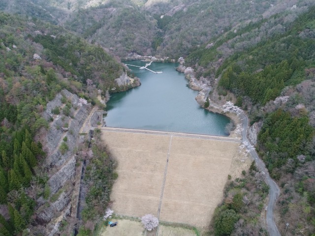sanakadam1