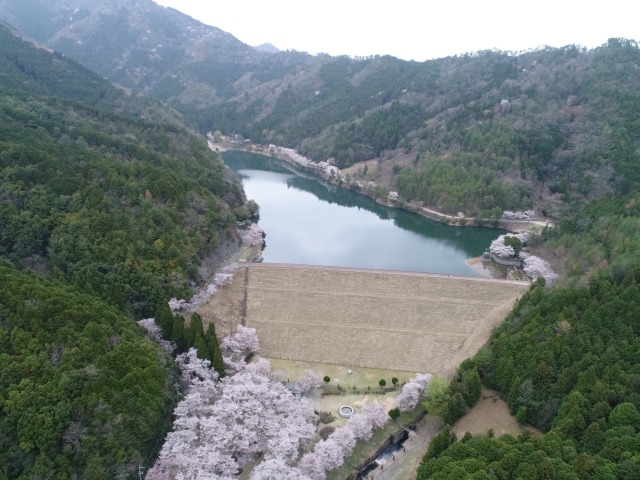oosugidam1