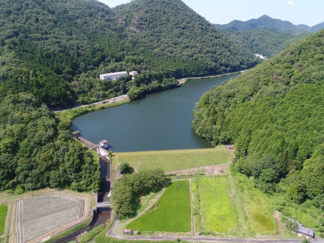 goboudaniike1