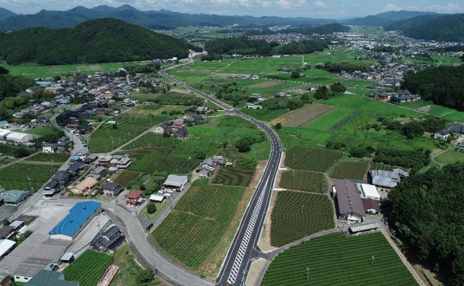 航空写真みどりみどり