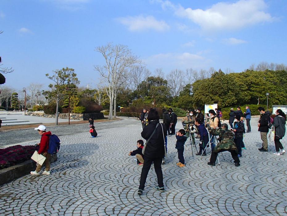 野鳥観察公園内