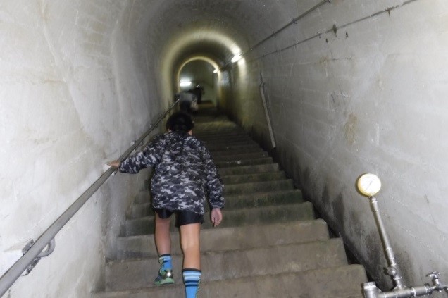 監査廊内見学