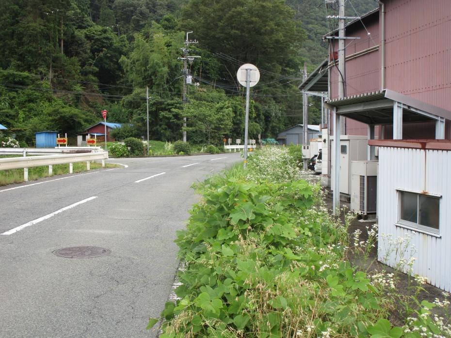 除草作業野々上作業前